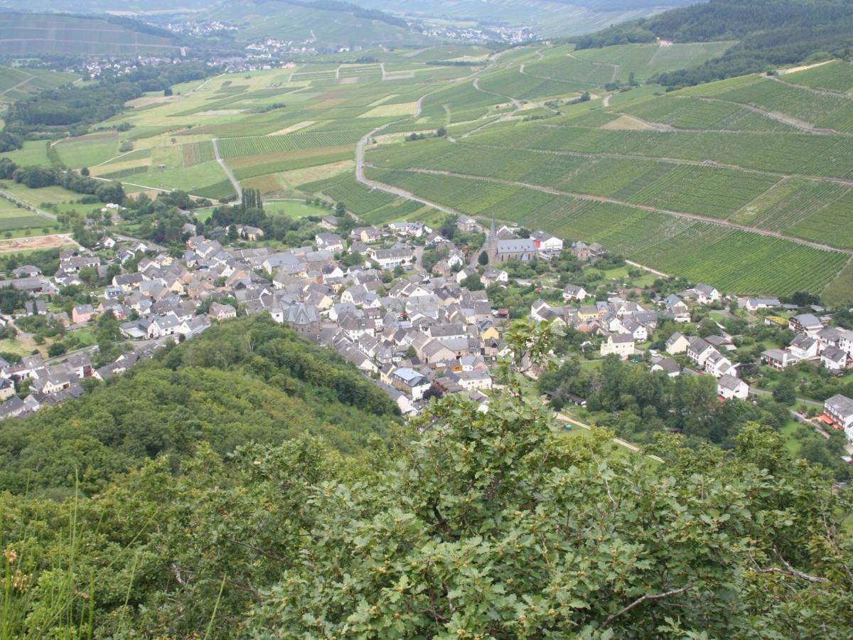 Pension zur Mühle Veldenz Exterior foto